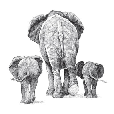 Elefántok - csempematrica
