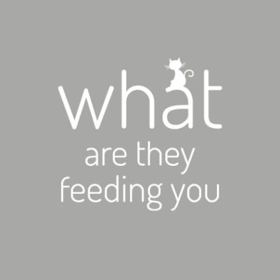 F.R.I.E.N.D.S. What are they feeding you - csempematrica