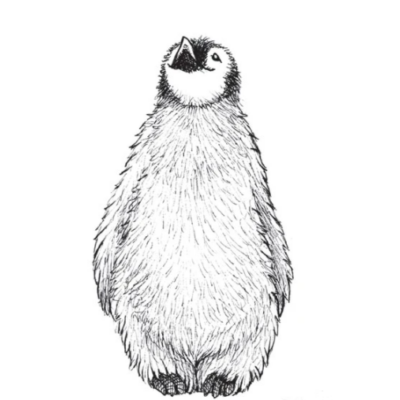 Pingvin -  csempematrica